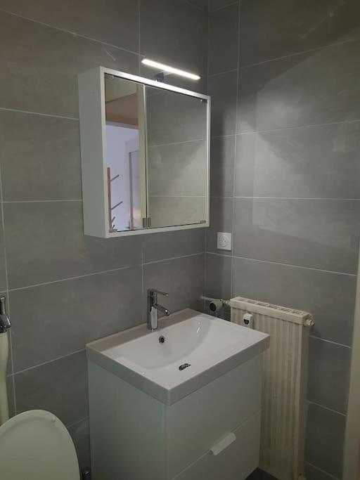 Studio De La Petite France Apartment Strasbourg Ngoại thất bức ảnh