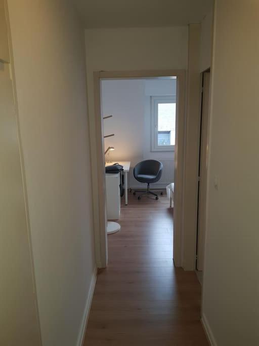 Studio De La Petite France Apartment Strasbourg Ngoại thất bức ảnh